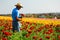 Carlsbad Flower Fields