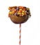Carmel candied apple with candy