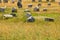 Carnac megaliths