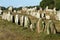 Carnac megaliths