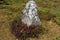 Carnac South Brittany Gulf of Morbihan, Neolithic site with menhirs, dolmen in the middle of the fields