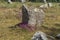 Carnac South Brittany Gulf of Morbihan, Neolithic site with menhirs, dolmen in the middle of the fields