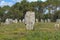 Carnac South Brittany Gulf of Morbihan, Neolithic site with menhirs, dolmen in the middle of the fields