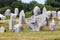 Carnac stones