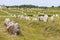 Carnac stones in France