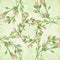 Carnation flowers on the background of watercolor. Seamless background. Branches with buds and leaves. Botanical watercolor.