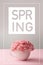 Carnation flowers in white cup on grey background with spring lettering