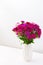 Carnation flowers in a white vase