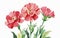 Carnations flower watercolor art and illustration created with AI use any kinds of design work