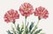 Carnations flower watercolor art and illustration created with AI use any kinds of design work