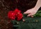 Carnations in hand, laid on military clothing, against the background of the monument