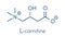 Carnitine food supplement molecule, chemical structure Skeletal formula.