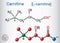 Carnitine L-carnitine molecule. Structural chemical formula an