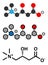 Carnitine molecule, chemical structure. Often found in nutritional supplements. Natural food sources include red meat and dairy