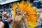 Carnival 2019 - Unidos da Tijuca