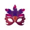 Carnival, halloween, masquerade female mask with feathers and sparkling stone