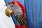 Carnival Parrot Headdress.