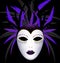 Carnival purple dark mask