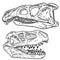 Carnivore dinosars skulls line hand drawn sketch image set. Archosaurus rossicus and Prestosuchus chiniquensi carnivorous dinosaur