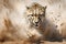 Carnivore fur wildlife wild cat outdoors mammal nature animal leopard predator africa