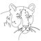 Carnivore Head one line drawing. Linear Face of a wild cat. Line art Portrait of Leopard