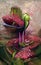 The carnivorous plant-colorful digitally painted artwork