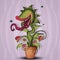 Carnivorous plant and flies