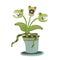 Carnivorous plant in a pot. Vector illustration for Halloween, isolated on white.