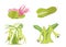Carnivorous plants design green on white background illustration