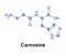 Carnosine dipeptide molecule