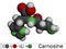 Carnosine dipeptide molecule. It is anticonvulsant, antioxidant, antineoplastic agent, human metabolite. Molecular model. 3D