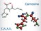 Carnosine dipeptide molecule. It is anticonvulsant, antioxidant, antineoplastic agent, human metabolite. Structural chemical