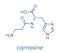 Carnosine molecule. Has antioxidant properties; commonly used in food supplements. Skeletal formula.