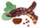 Carob beans with powder. Healthy organic sweet carob pods with seeds and leaves on white background. Top view