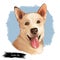Carolina dog isolated digital art illustration hand drawn portrait. Yellow dog yaller dog, American Dingo or Dixie Dingo, breed of