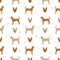 Carolina dog seamless pattern. Different poses, coat colors set