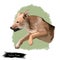 Carolina Puppy dog breed isolated on white background digital art illustration. Carolina dog landrace of medium-sized