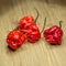 Carolina Reaper, the hottest chile pepper Capsicum chinense , whole ripe pod, on wooden background. Superhot or