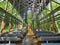 Caroll County, Arkansas, U.S - June 23, 2022 - The unique architecture inside of the Thorncrown Chapel surrounded by green forest