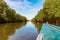 Caroni river boat ride through dense mangroves reflection nature Trinidad and Tobago