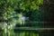 Caroni Swamp mangrove channels in Trinidad