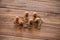 Carp baits on a wooden background