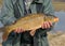 Carp caught in the hands of a fisherman, amateur carp fishing