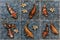 CARP fish mosaic tiles