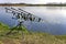 Carp fishing rods standing on rod pod near the lake during sunrise. Morning fishing on the lake