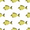 Carp Seamless Pattern