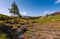 Carpathian alpine countryside in springtime