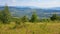 carpathian countryside with grassy meadows