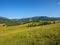 carpathian countryside with grassy meadows