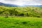 carpathian countryside in spring